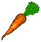 carrot - coloured